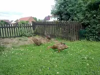 11082010098.webp