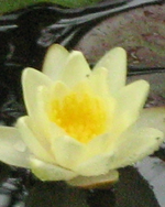 IMG_3025.webp