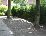 versuch2.webp