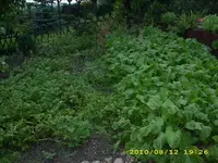 JD500555.webp