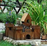 Katze in Burg.webp