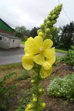 HeimAug 10-27.webp