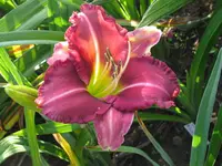IMG_anja 37.4_1024x768.webp