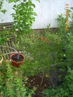 PICT0012.webp