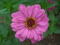 CIMG0639.webp