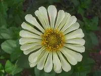 CIMG0640.webp