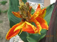 Bild 157.webp