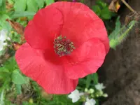 IMG_9462_1024x768.webp