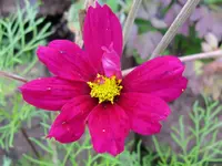 IMG_9457_1024x768.webp