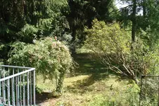 DSC07560.webp