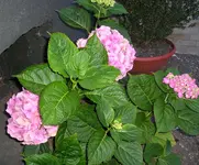 10_08_10 001.webp