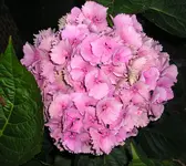 10_08_10 002.webp