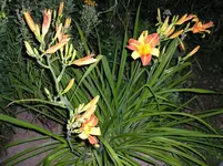 10_08_10 005.webp
