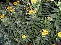 10_08_10 006.webp