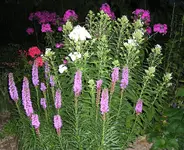 10_08_10 008.webp