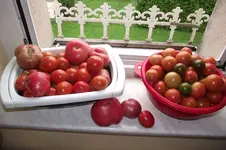 Garten 028.webp