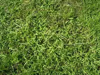 M0011635.webp