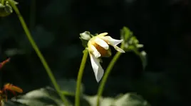 DSC03749.webp