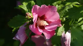 DSC03757.webp