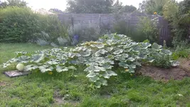 S7305172.webp