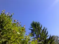 150820101344.webp