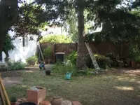 Garten Juli 2010 006.webp