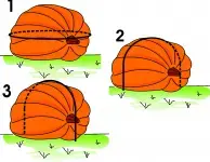 1278916323_28d4351005117142883f98278991e0b963ba56c9cd33d6dd6d3891b95ab0565df9065d46062c42a412...webp