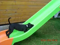 11.08.2010 007.webp