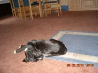 11.08.2010 035.webp