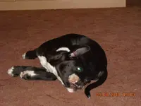11.08.2010 038.webp