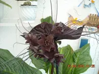 15.08.2010 046.webp