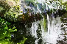 Wasserfall.webp