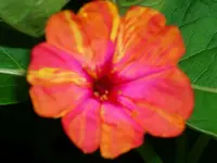 DSCI1092.webp