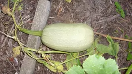 14. 8. 2010 (64).webp