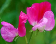 DSC_6214.webp