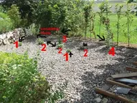 Kopie von Dscf9945.webp