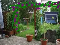 DSCF1073.webp
