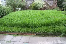 20100723-DSCF3733.webp