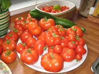 IMG_0699kl.webp