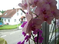 100_1582.webp