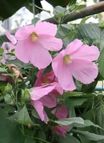 IMG_6029.webp