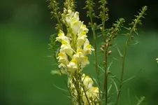 P1010376.webp