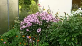 K800_Sommerende 073.webp