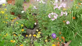K800_Sommerende 074.webp
