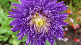 K800_Sommerende 075.webp