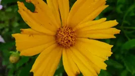 K800_Sommerende 076.webp
