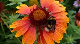 K800_Sommerende 081.webp