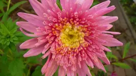 K800_Sommerende 086.webp