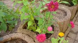 K800_Sommerende 088.webp