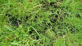 K640_Sommerende 071.webp